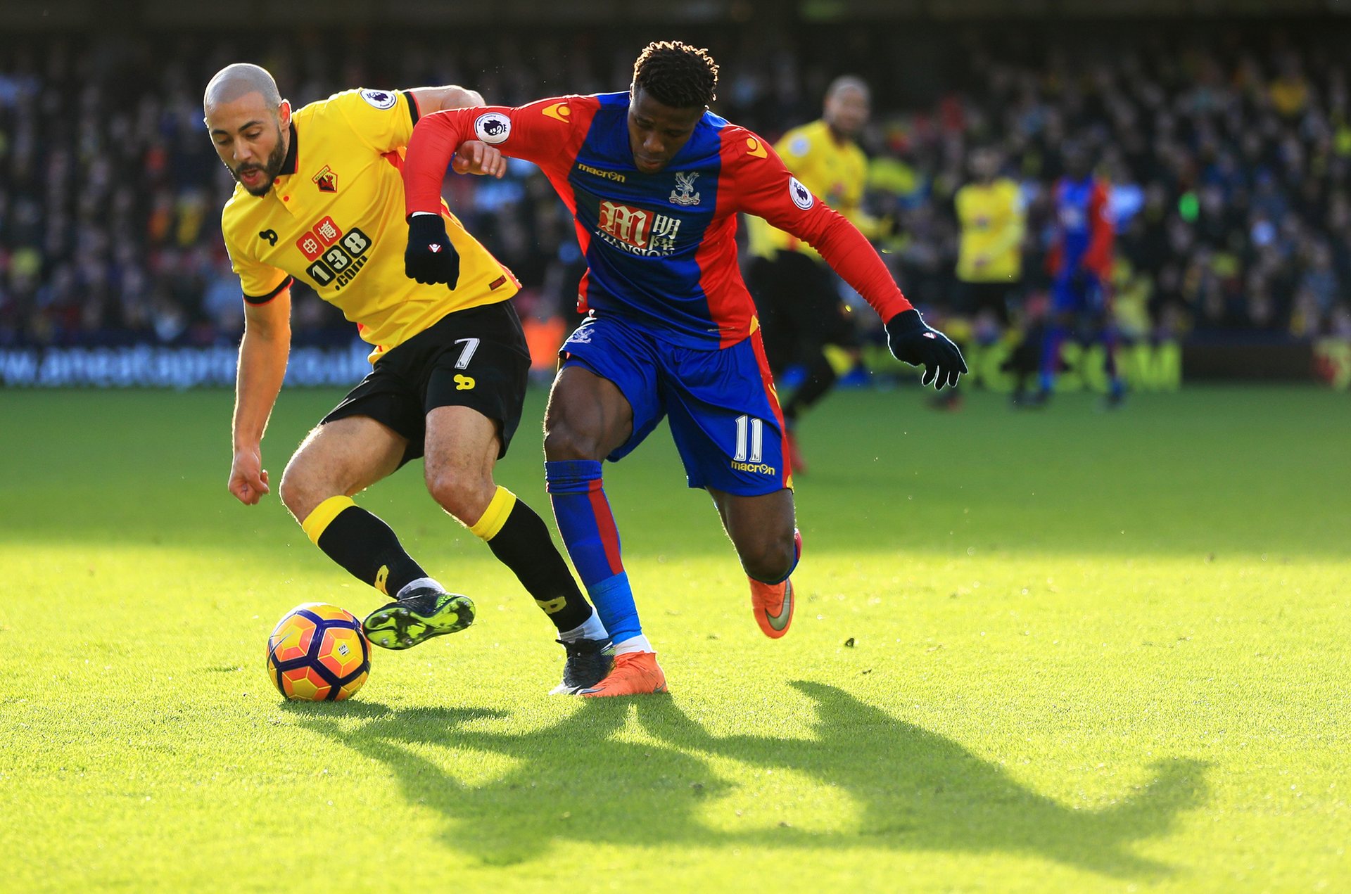 球迷感到激 球迷感到激